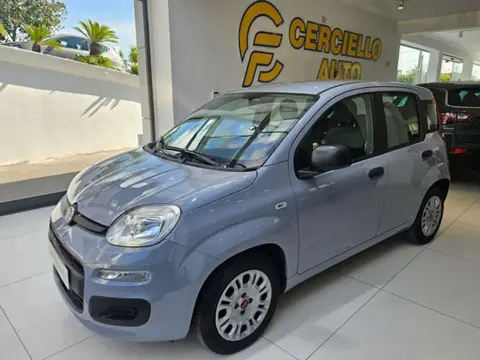 Annonce FIAT PANDA Hybride 2022 d'occasion 