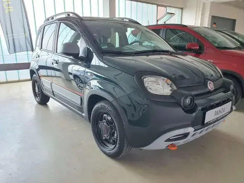 Annonce FIAT PANDA Essence 2024 d'occasion 