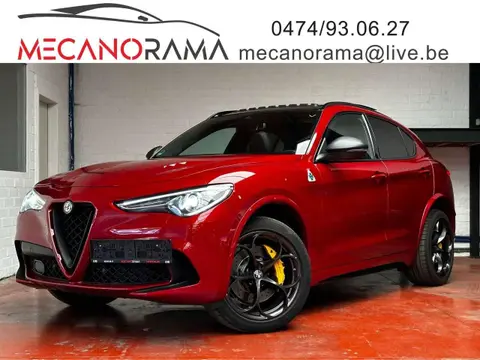 Used ALFA ROMEO STELVIO Petrol 2019 Ad 