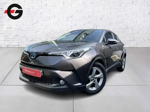 Used TOYOTA C-HR Hybrid 2018 Ad 