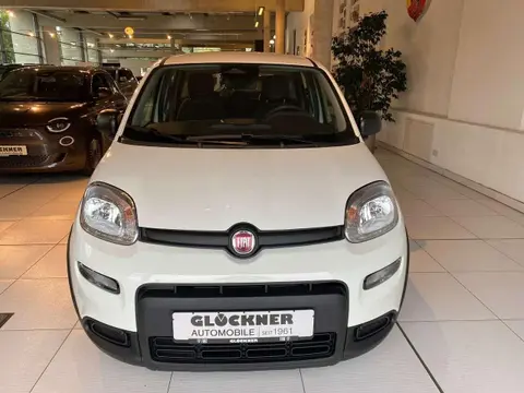 Used FIAT PANDA Petrol 2024 Ad 