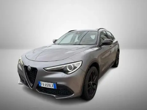 Used ALFA ROMEO STELVIO Diesel 2019 Ad 