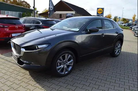 Annonce MAZDA CX-30 Hybride 2024 d'occasion 