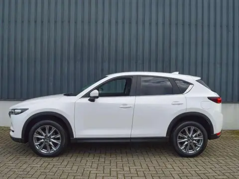 Used MAZDA CX-5 Petrol 2021 Ad 