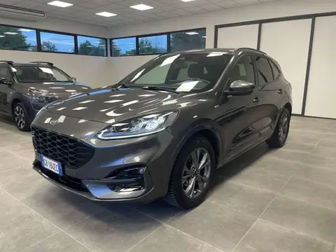 Used FORD KUGA Diesel 2020 Ad 