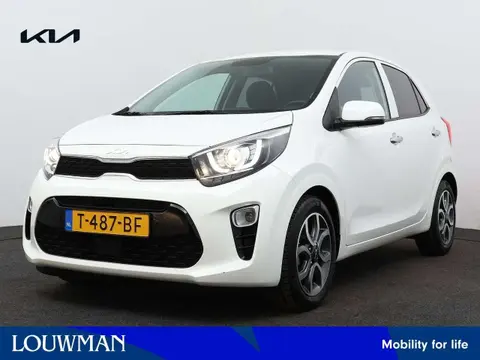 Used KIA PICANTO Petrol 2023 Ad 