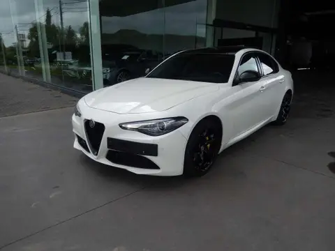 Used ALFA ROMEO GIULIA Diesel 2019 Ad 