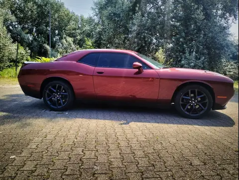 Annonce DODGE CHALLENGER Essence 2019 d'occasion 