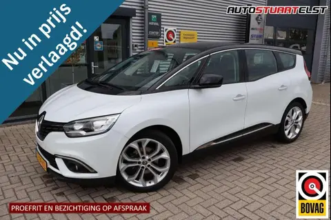 Used RENAULT GRAND SCENIC Petrol 2019 Ad 