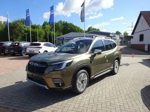 Annonce SUBARU FORESTER Hybride 2024 d'occasion 