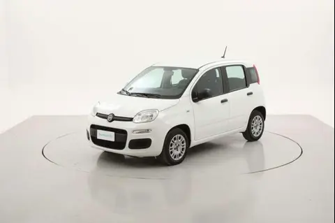 Annonce FIAT PANDA Essence 2020 d'occasion 