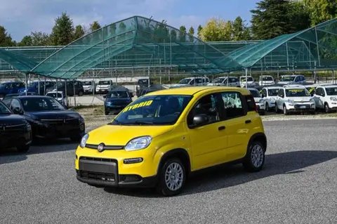 Annonce FIAT PANDA Hybride 2024 d'occasion 