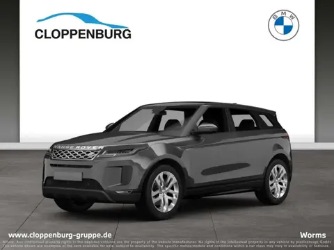 Used LAND ROVER RANGE ROVER EVOQUE Diesel 2019 Ad 