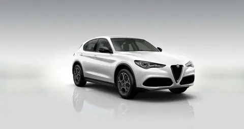 Annonce ALFA ROMEO STELVIO Diesel 2024 d'occasion 