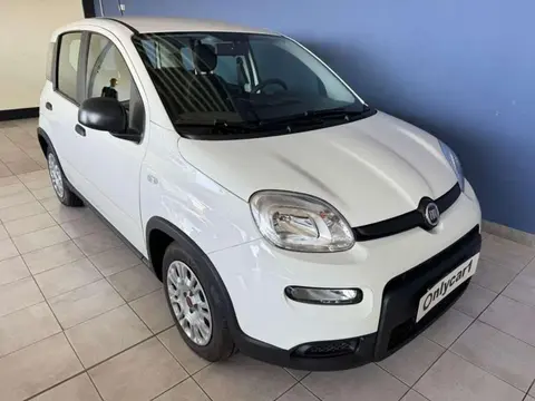 Used FIAT PANDA Hybrid 2023 Ad 