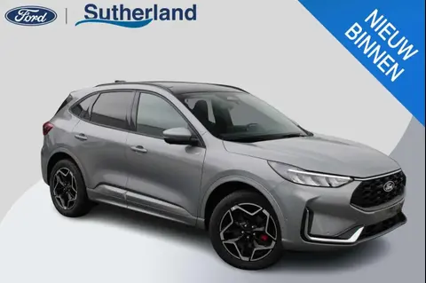 Annonce FORD KUGA Hybride 2024 d'occasion 