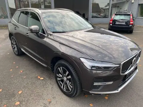 Used VOLVO XC60 Hybrid 2021 Ad 