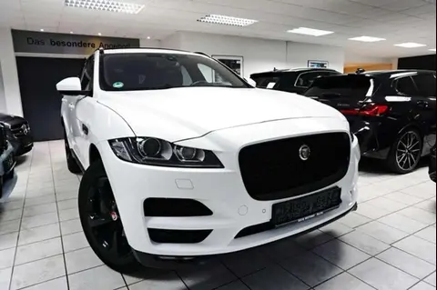 Used JAGUAR F-PACE Diesel 2017 Ad 