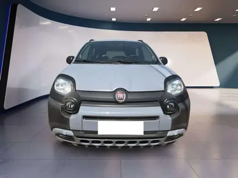 Annonce FIAT PANDA Hybride 2021 d'occasion 