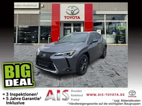 Used LEXUS UX Hybrid 2019 Ad 