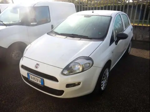 Used FIAT PUNTO LPG 2018 Ad 