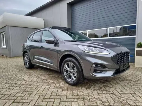 Used FORD KUGA Hybrid 2024 Ad 