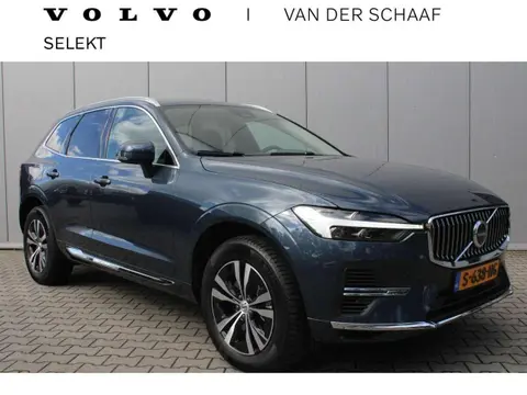 Used VOLVO XC60 Hybrid 2023 Ad 