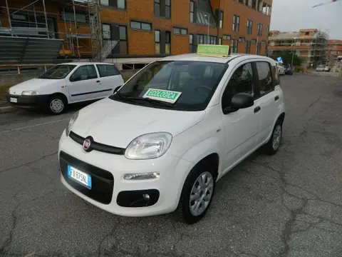 Annonce FIAT PANDA  2019 d'occasion 