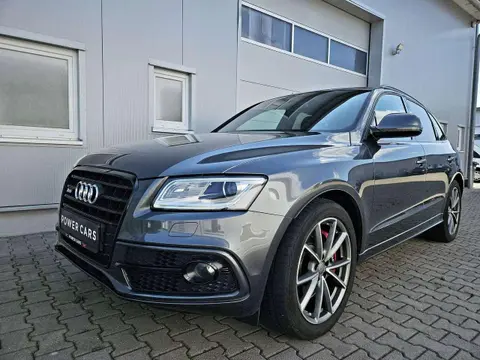 Annonce AUDI SQ5 Diesel 2015 d'occasion 