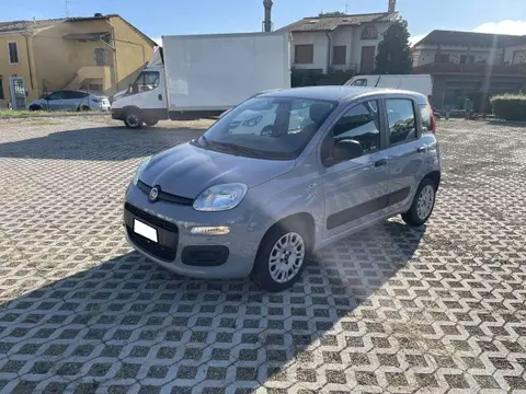 Annonce FIAT PANDA Essence 2018 d'occasion 