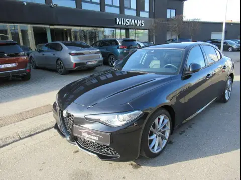 Used ALFA ROMEO GIULIA Diesel 2023 Ad 