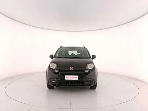 Used FIAT PANDA Petrol 2019 Ad 