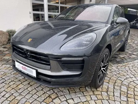 Used PORSCHE MACAN Petrol 2024 Ad 