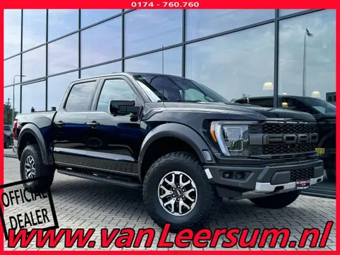 Used FORD F150 Petrol 2024 Ad 