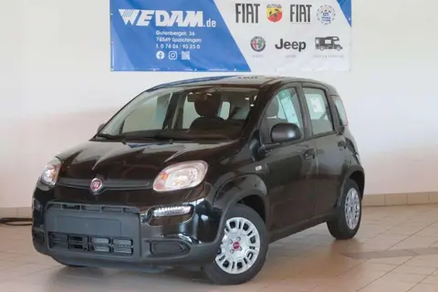 Used FIAT PANDA Petrol 2024 Ad 