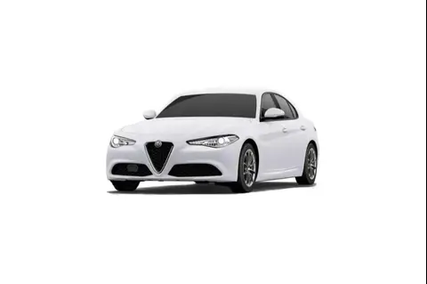 Used ALFA ROMEO GIULIA Diesel 2019 Ad 