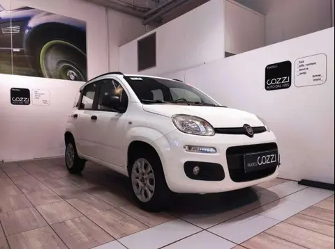 Annonce FIAT PANDA  2017 d'occasion 