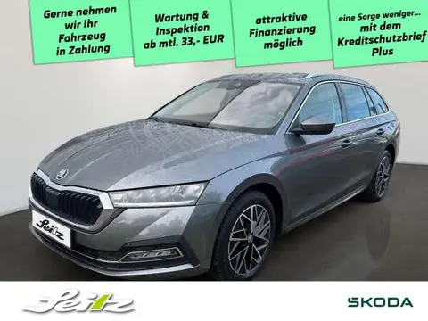 Used SKODA OCTAVIA Diesel 2023 Ad 