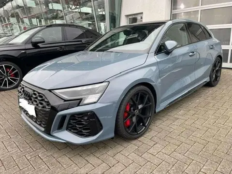 Annonce AUDI RS3 Essence 2024 d'occasion 