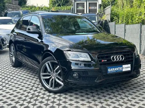 Annonce AUDI SQ5 Diesel 2015 d'occasion 