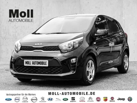 Annonce KIA PICANTO Essence 2023 d'occasion 