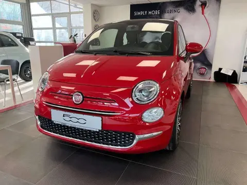 Used FIAT 500 Petrol 2023 Ad 