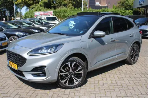 Annonce FORD KUGA Hybride 2023 d'occasion 