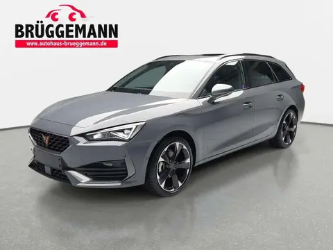 Used CUPRA LEON Petrol 2024 Ad 