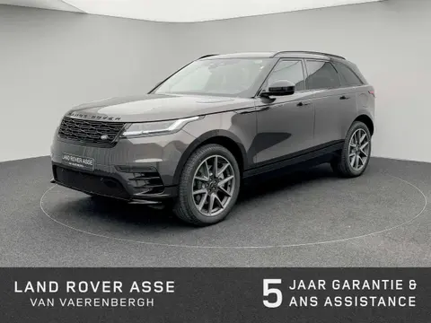 Used LAND ROVER RANGE ROVER VELAR Hybrid 2024 Ad 