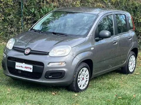 Used FIAT PANDA Petrol 2020 Ad Italy