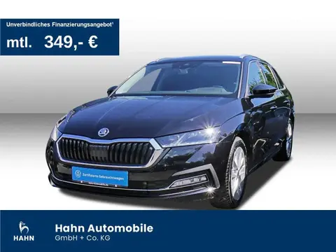 Used SKODA OCTAVIA Diesel 2023 Ad 