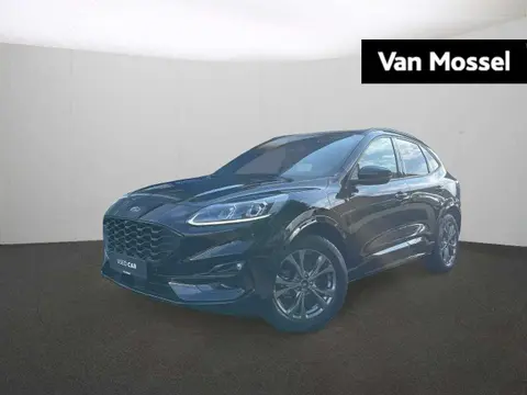 Used FORD KUGA Hybrid 2022 Ad 