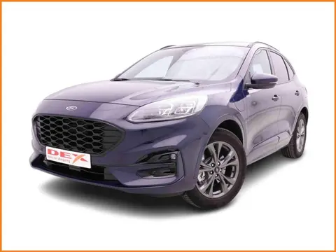 Used FORD KUGA Hybrid 2021 Ad 