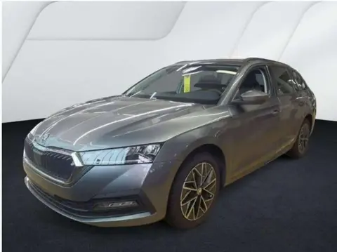 Annonce SKODA OCTAVIA Essence 2024 d'occasion 